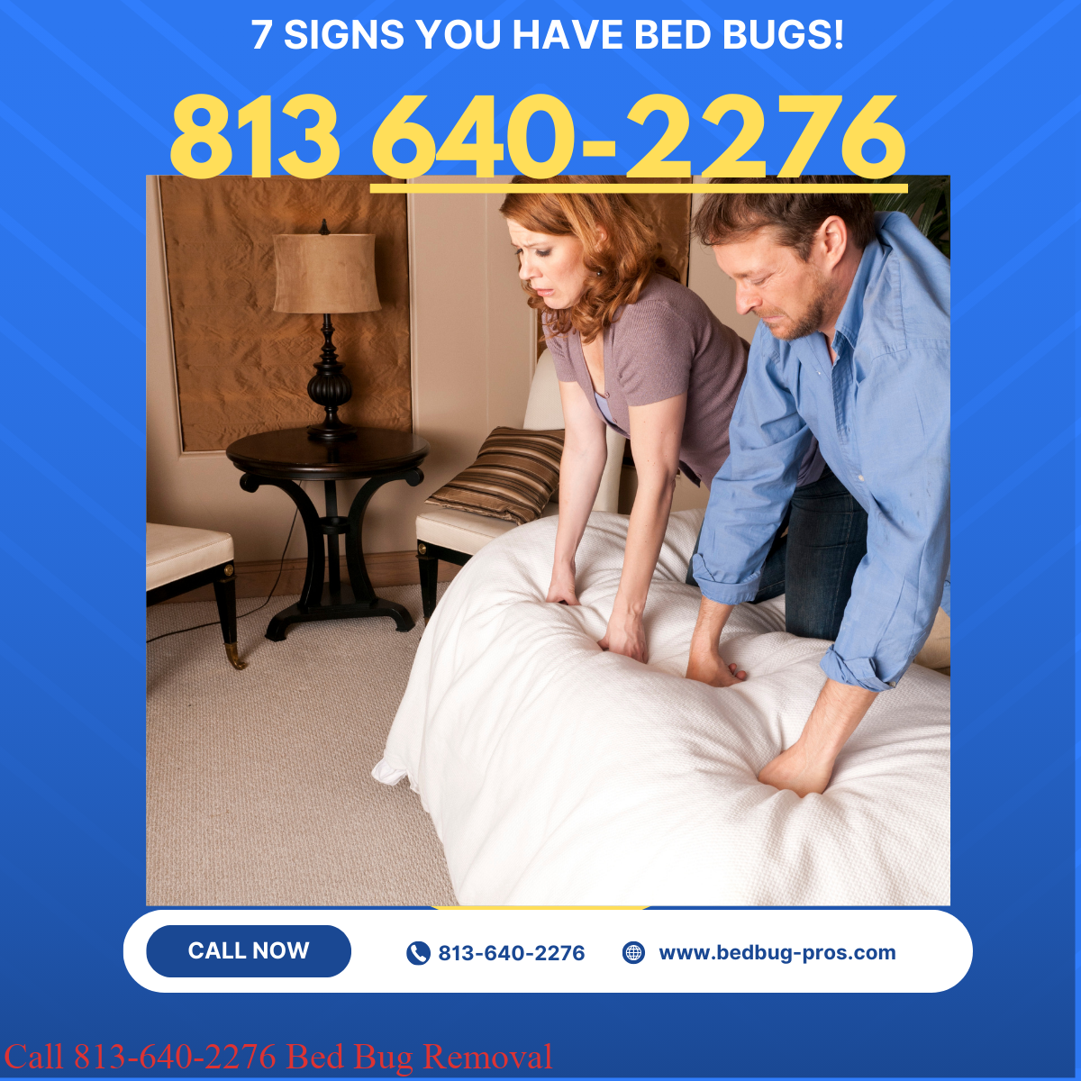 Bed Bug Removal Service Brandon Florida