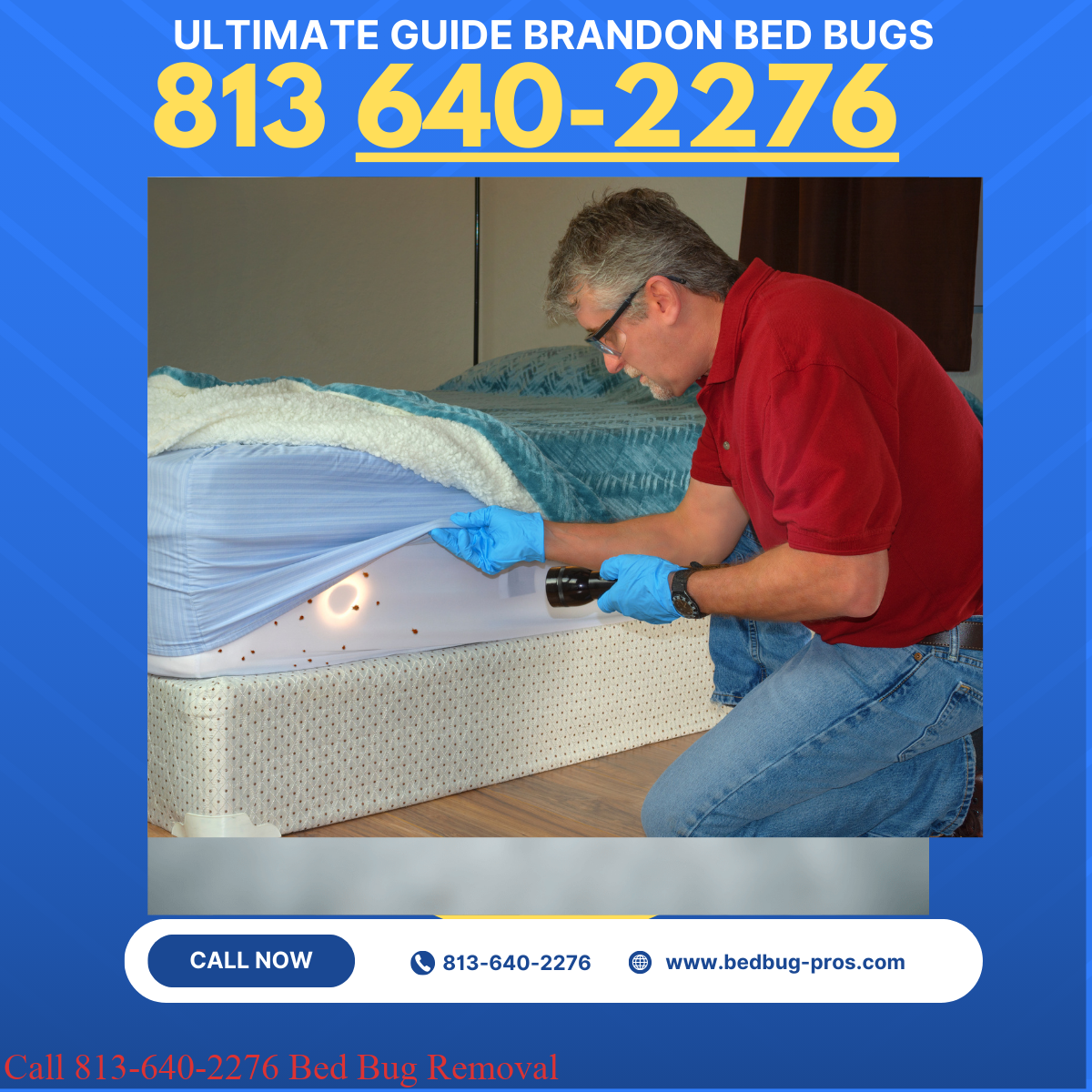 Ultimate Guide To Bed Bug Removal in Brandon Florida USA
