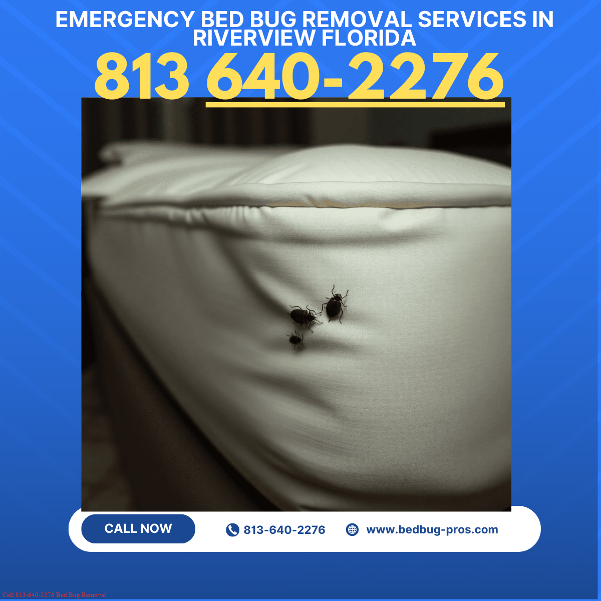 emergency bed bug removal services in Riverview Florida