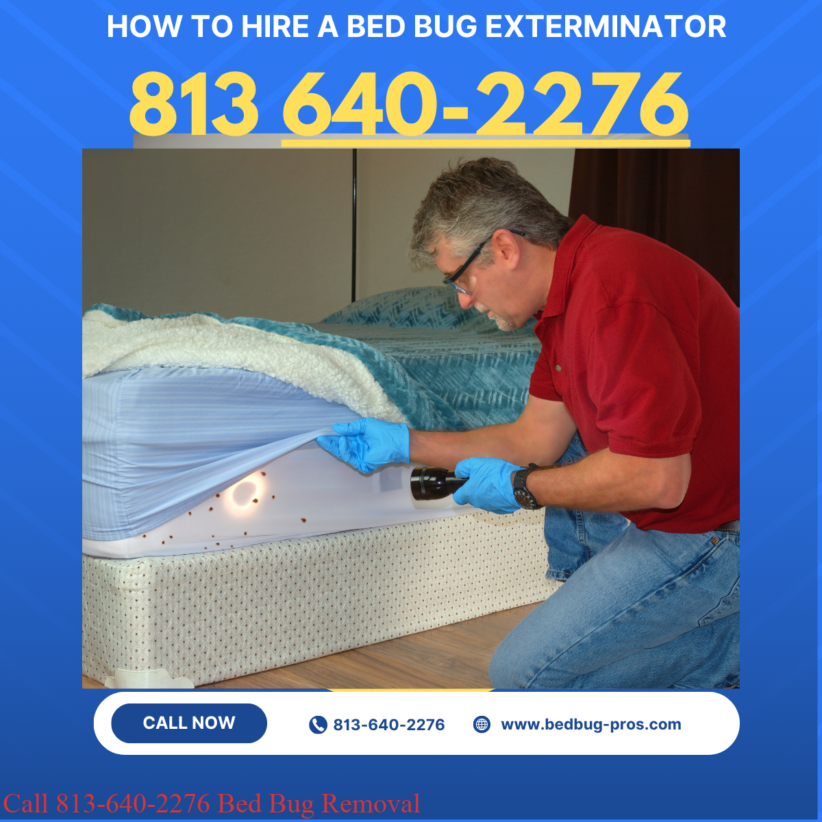 Best Bed Bug Removal Service Tampa