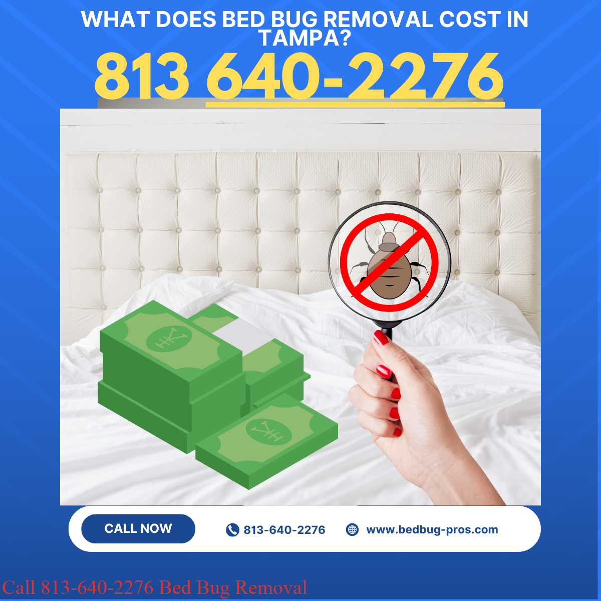 What Does Bed Bug Removal Cost in Tampa?