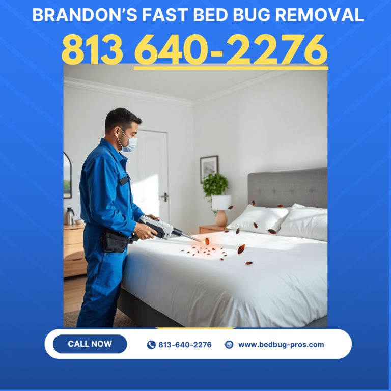 Brandon Bed Bug Removal