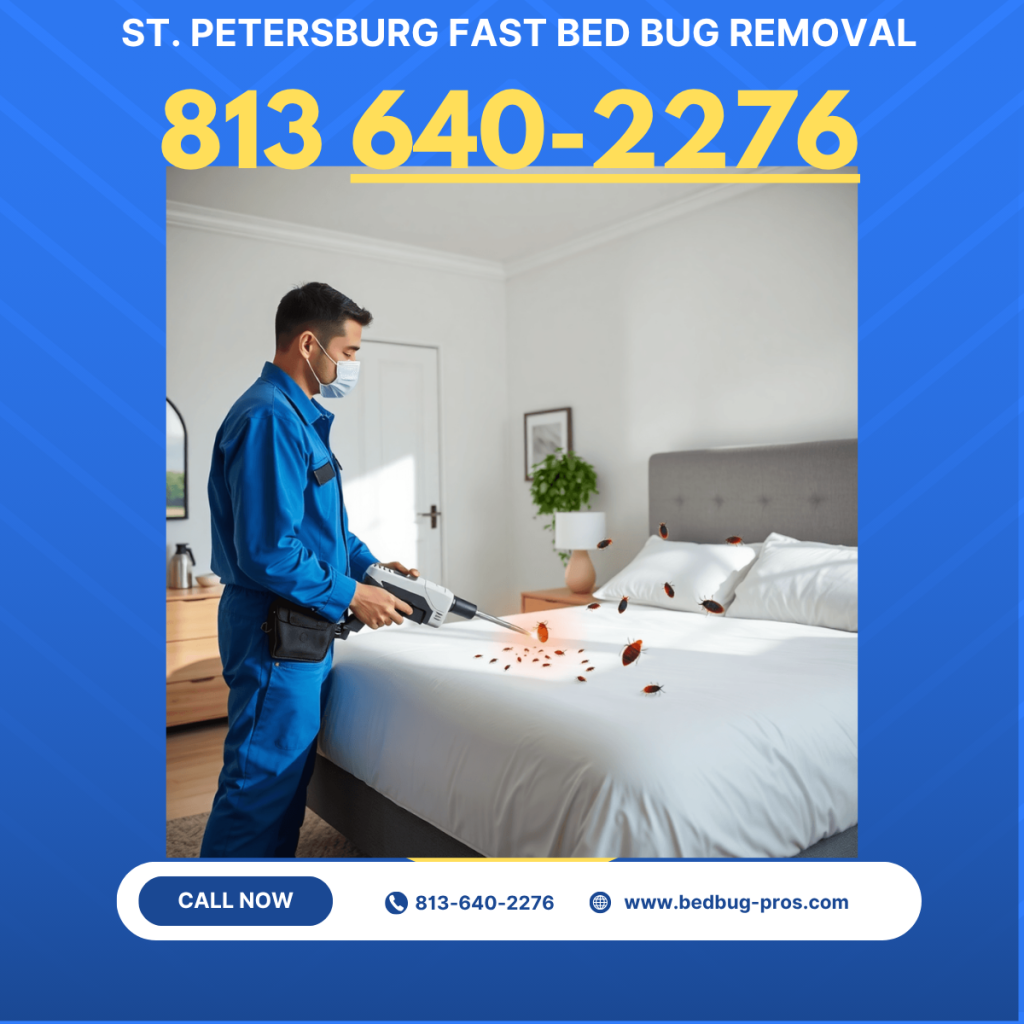 St. Petersburg Fast Bed Bug Removal